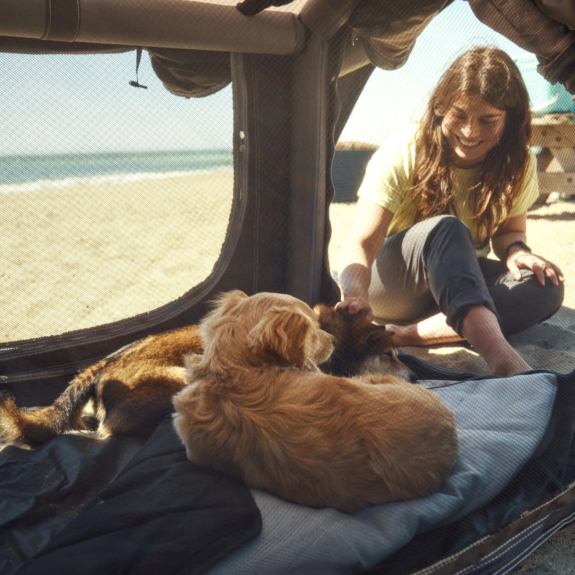 Dometic K9 80 Air Inflatable Dog Kennel