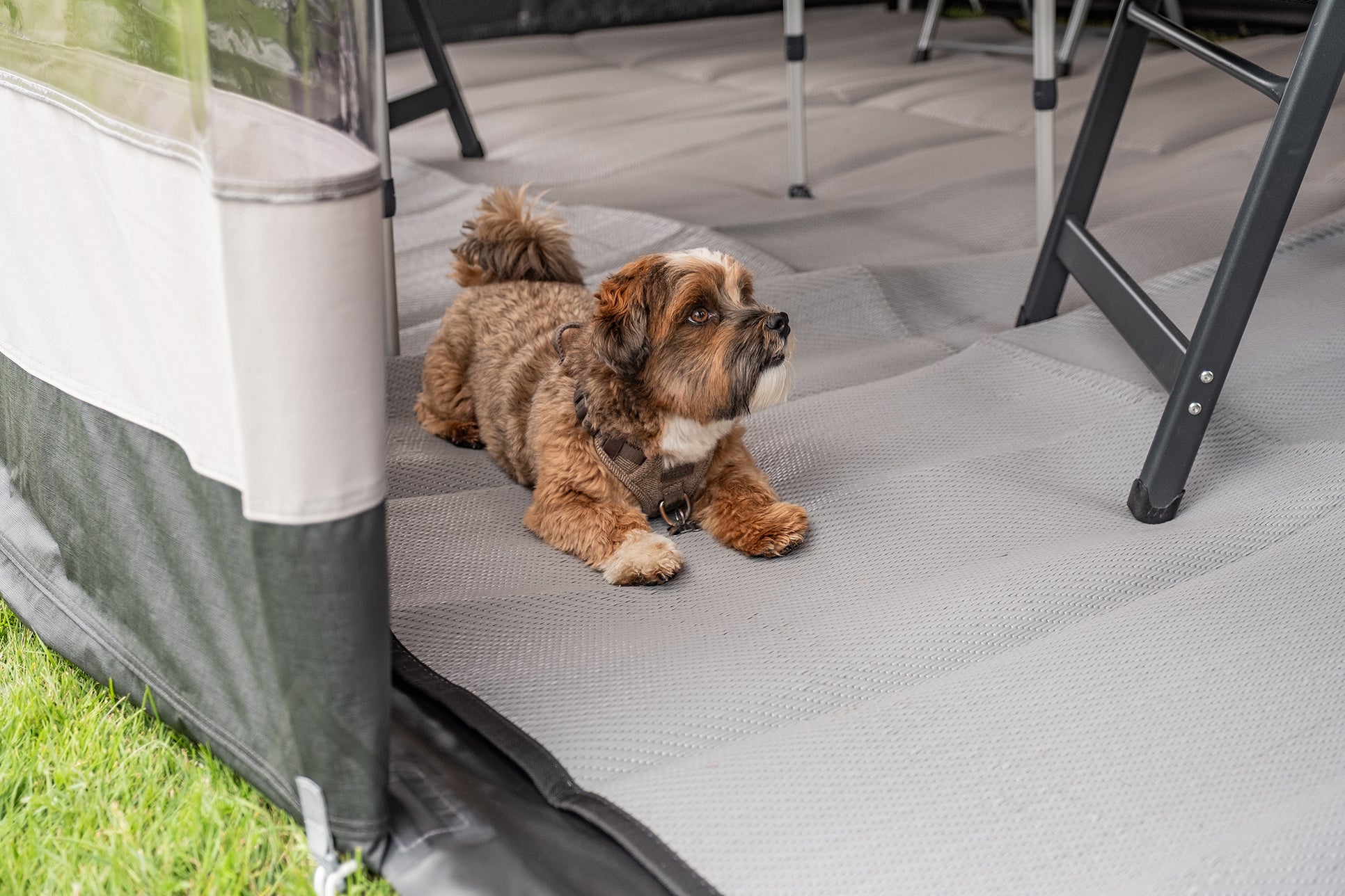Telta Life 390 Air Caravan Awning 2026