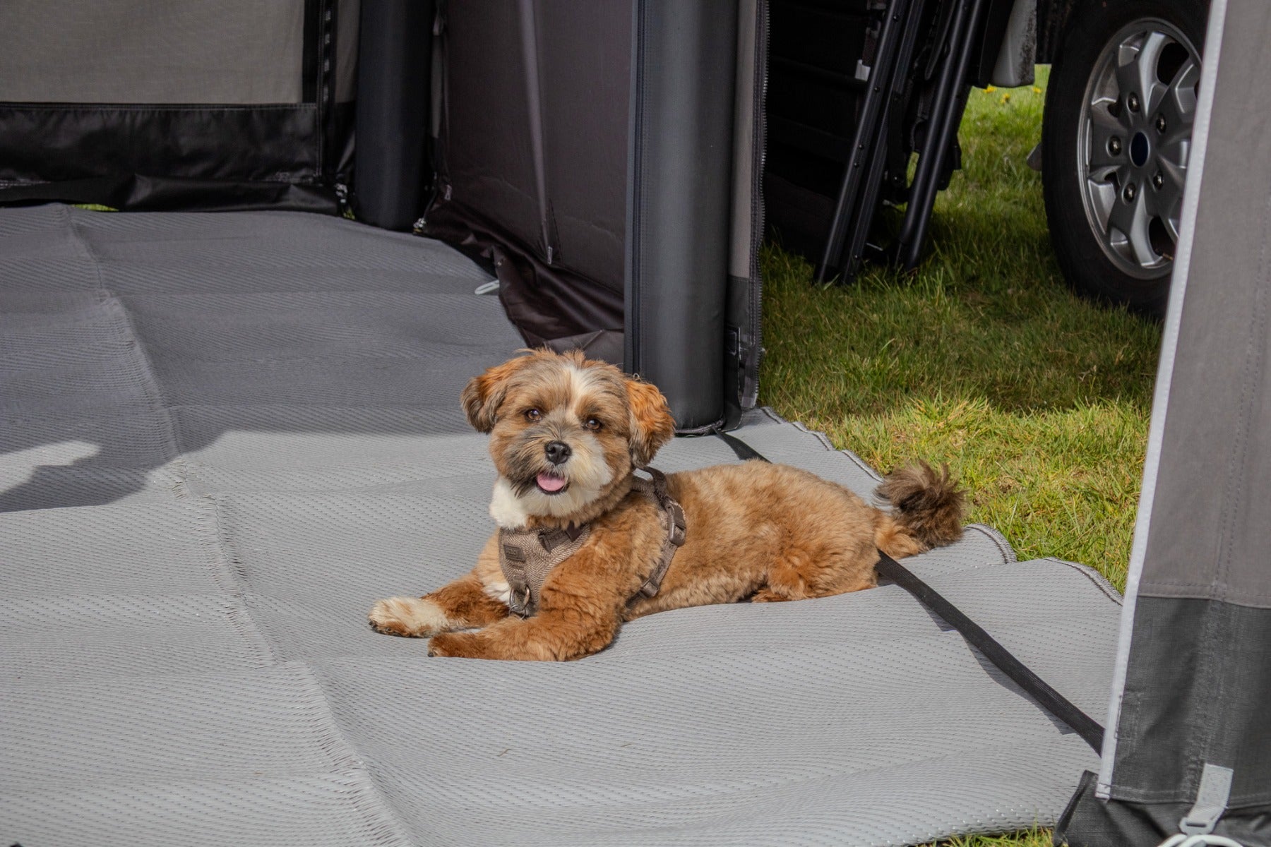 Telta Core 330 Drive Away Awning